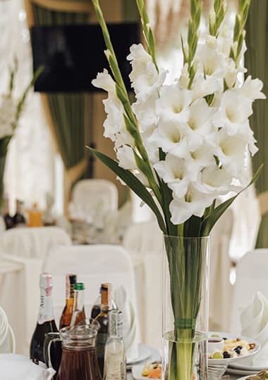 Celebraciones Sociales